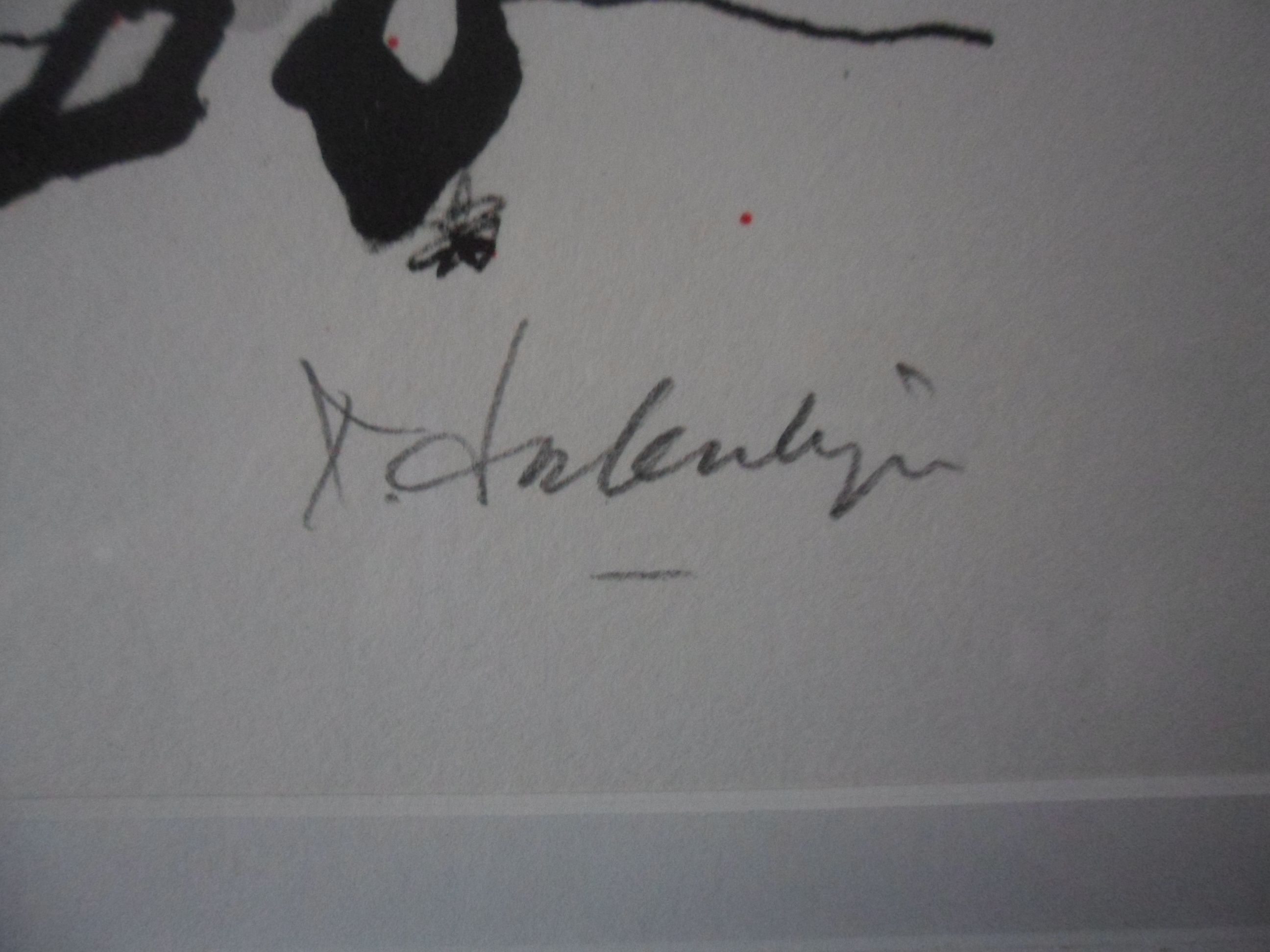 Kees Salentijn - Kleurenlitho,titel,"La Alhajita'. kopen? Bied vanaf 50!