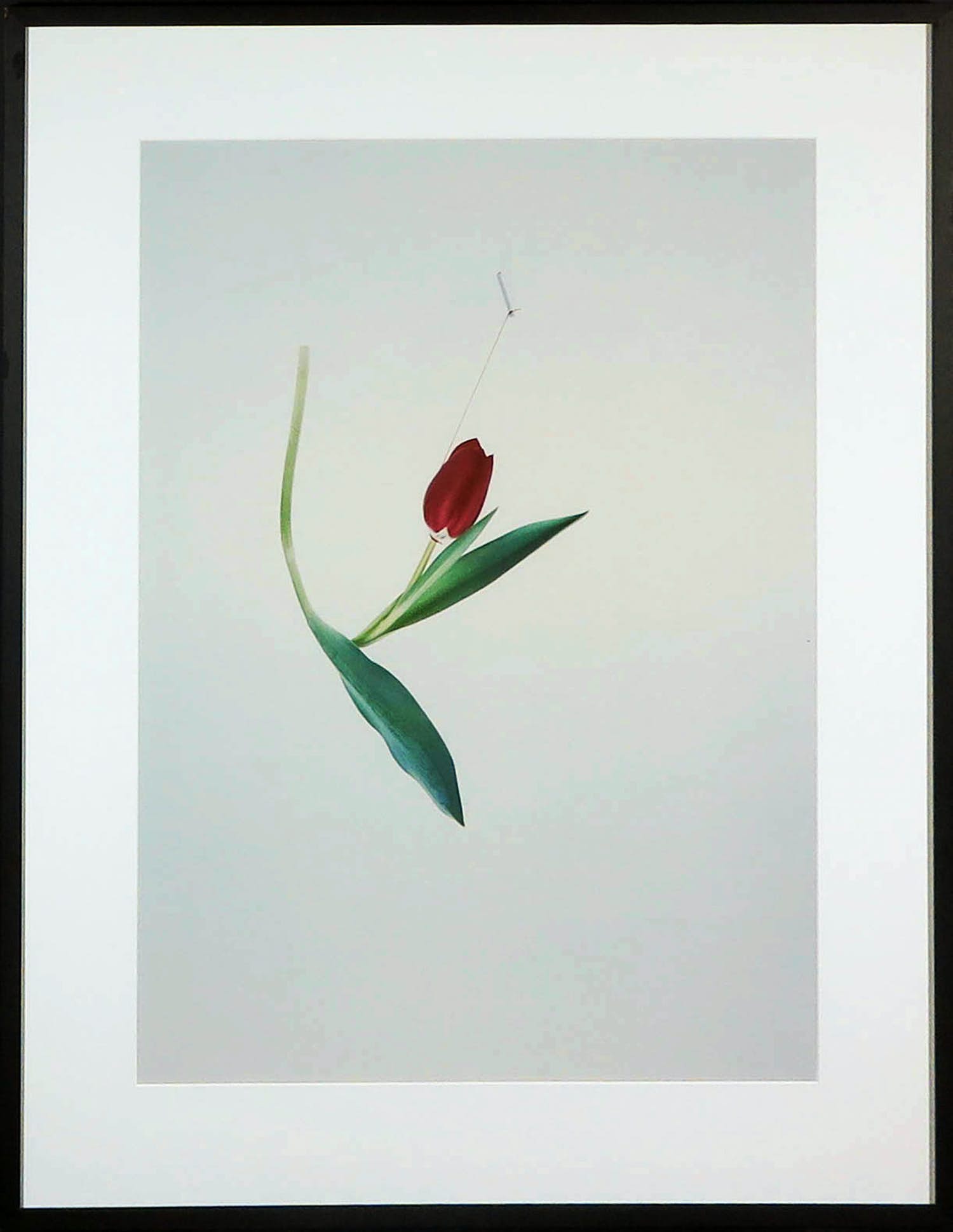 Jean Ruiter - Foto, Resistance - Ingelijst (Groot) kopen? Bied vanaf 50!