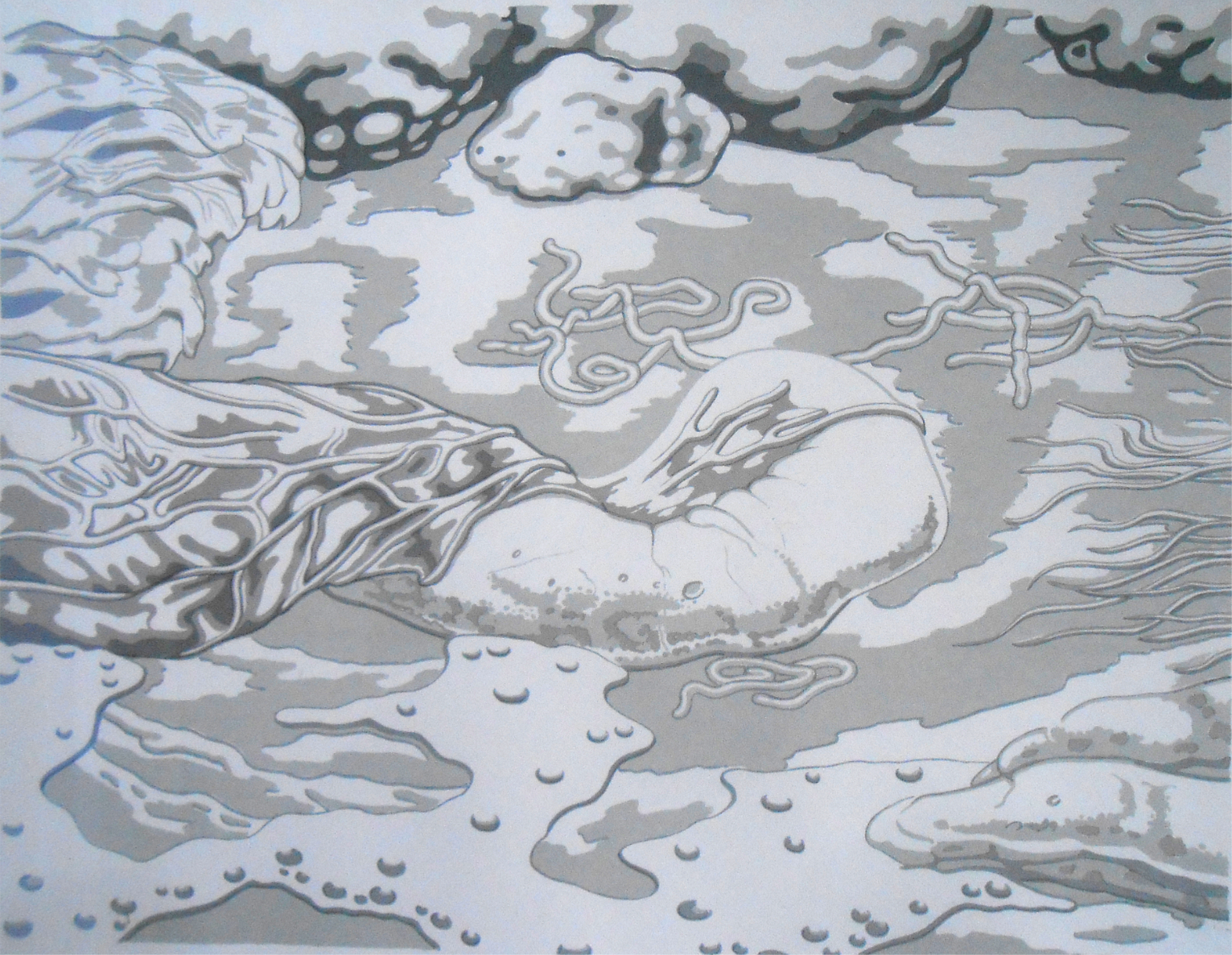 Aafke Bennema (1965)