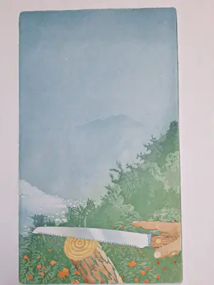 Sjoerd Bakker - Onbekend kopen? Bied vanaf 50!