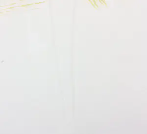 Gerard 't Hart - Zeefdruk, Shamaan - Ingelijst kopen? Bied vanaf 35!