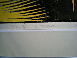 Leon Janssen - M.S 2000 kopen? Bied vanaf 75!