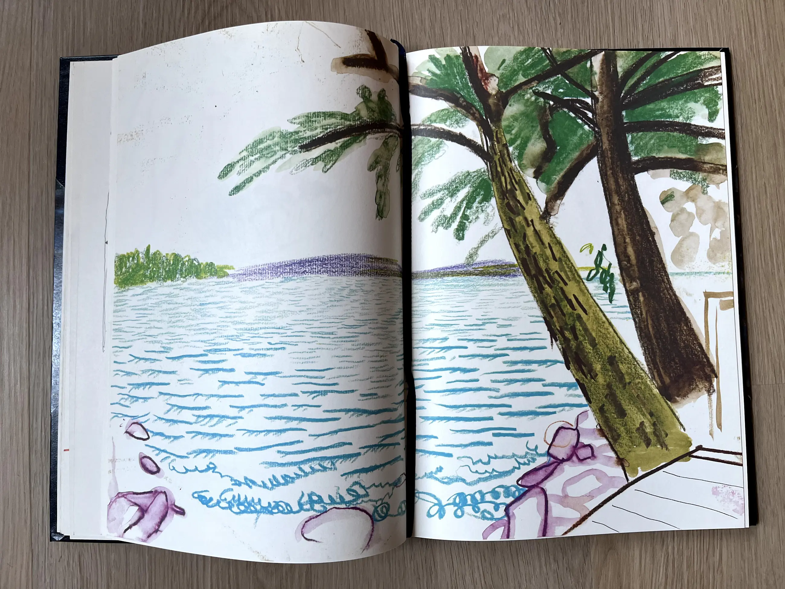 David Hockney Martha's Vineyard and ・大型本 David Hockney