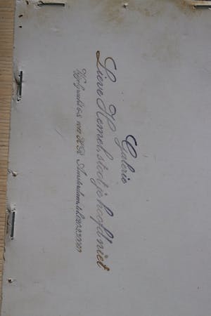 Ari Stolk - Slechtvalk kopen? Bied vanaf 25!