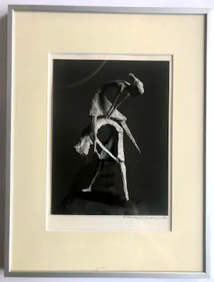 Buy Herman Hahndiek - Bokspringers (Rien Goené)? Bid from 50!