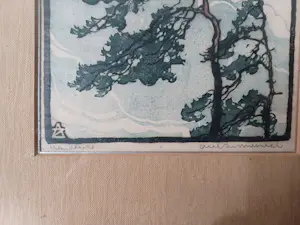 Arie Zonneveld - Bomen kopen? Bied vanaf 100!