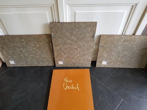 Nico Vrielink - Confrontation with Gauguin kopen? Bied vanaf 250!