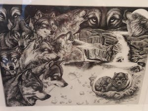 Hugo Besard - WOLVEN kopen? Bied vanaf 50!