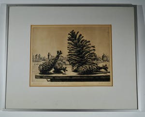 Ad van Dijk - Les landes kopen? Bied vanaf 35!