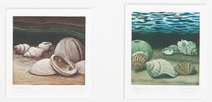Marianne Stam - Mezzotint, Tweeluik met schelpen: Laat-krijt, heden kopen? Bied vanaf 20!