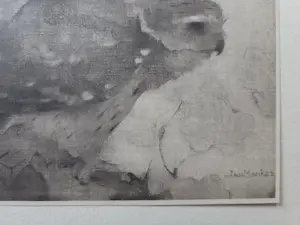 Jan Mankes - Roofvogel op tak. kopen? Bied vanaf 49!