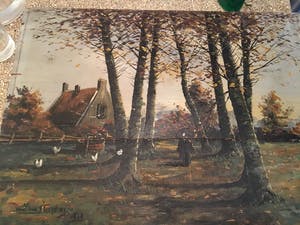 Dick van Vlaardingen - Landschap kopen? Bied vanaf 150!