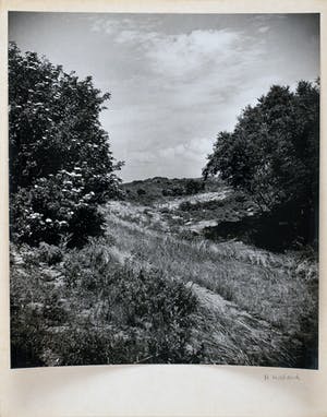 Cas Oorthuys - Duinen Noord Holland - originele foto op bariet-fotopapier - 21471 kaufen? Bieten Sie von 60!