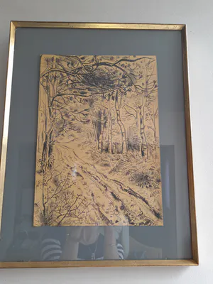 Rene De Lannoy - Natuur kopen? Bied vanaf 75!