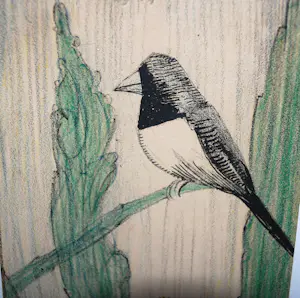 Leo Visser - Vogels - kleurenlitho uit ca. 1928 kopen? Bied vanaf 35!