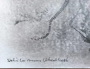 Dirkje Kuik - Muis, inkttekening kopen? Bied vanaf 150!