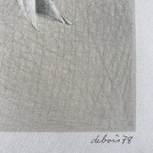 Albert Debois - Originele kleurenlitho - 1978 - 131/150 - Gesigneerd kopen? Bied vanaf 75!