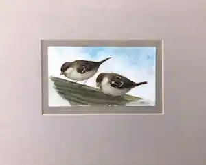 Jan Bos - Huismussen verkauft für € 95!