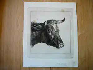 Jacobus Cornelis Gaal - Kop van een koe verkauft für € 35!
