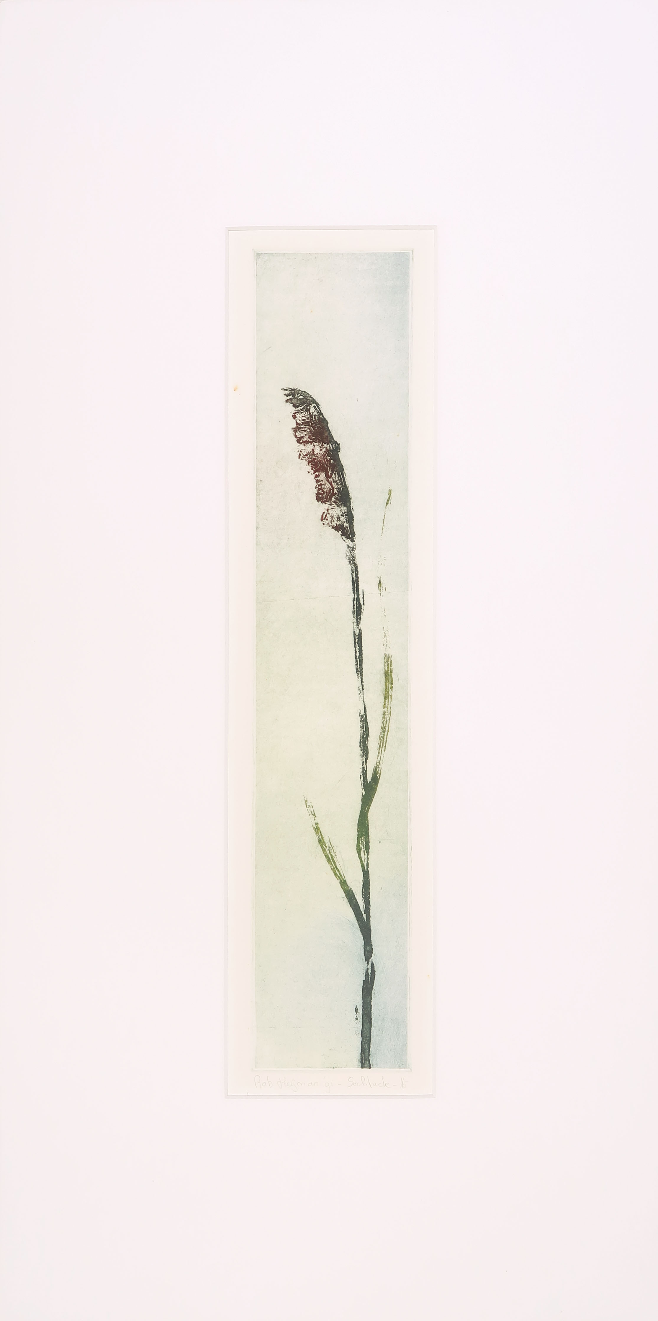 Rob Heijman - Kleurenets, Solitude kopen? Bied vanaf 1!