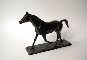 Irénée Rochard - Paard in draf kopen? Bied vanaf 2000!