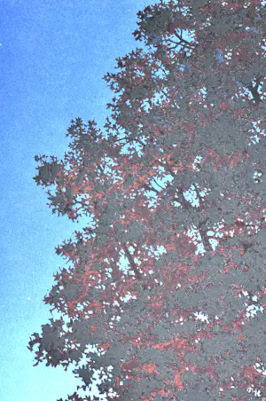 Rene Magritte - (naar), La voix du sang, Lithografie, 77,5x57,5 cm kopen? Bied vanaf 550!