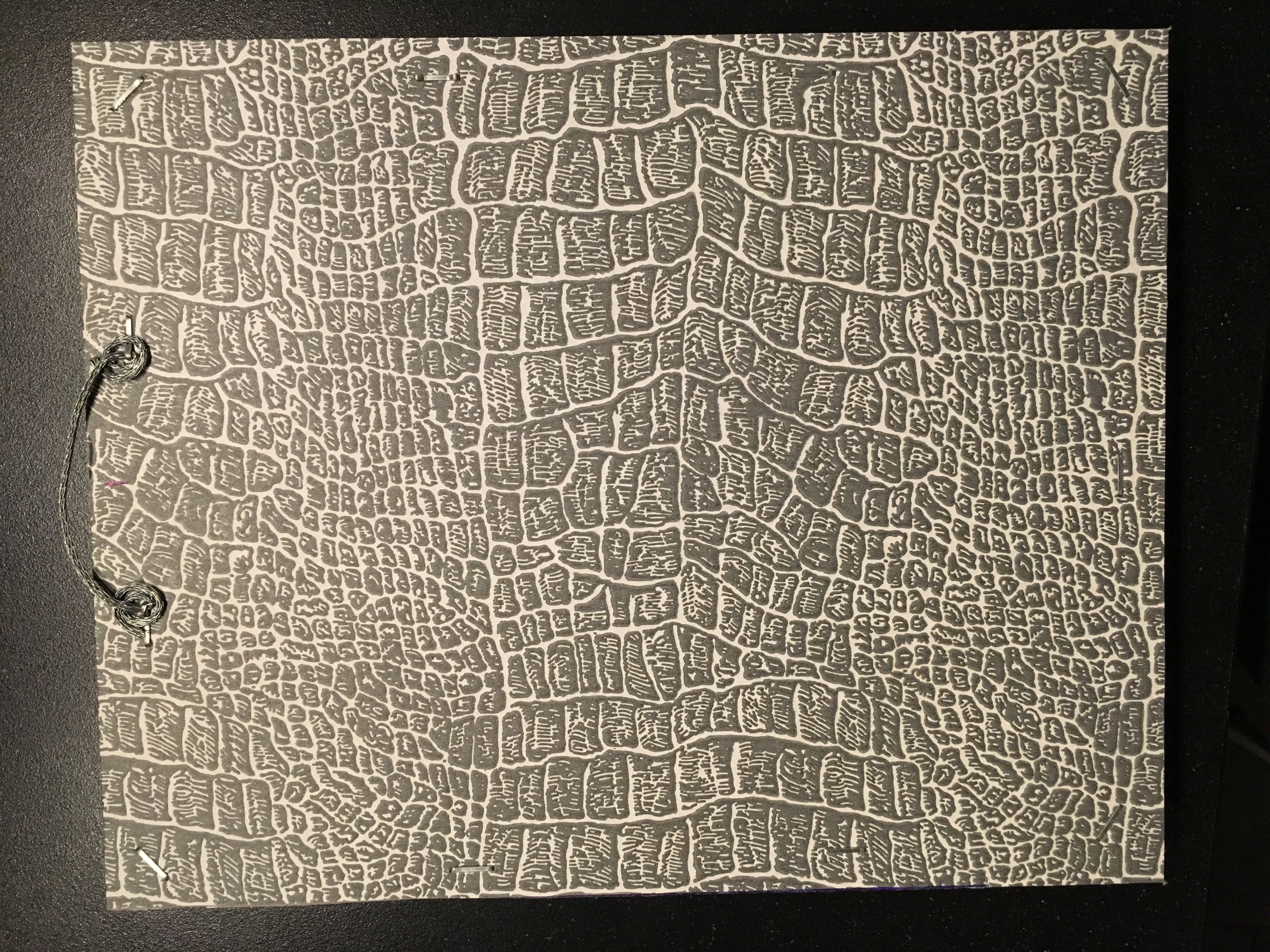 Joke Plomp - Staphorster meisje met kip kopen? Bied vanaf 90!