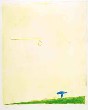 Jan Montyn - Kleurenets, Point du Jour verkocht voor € 50!