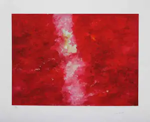 Armando - Kleurengiclee DAMALS Handgesigneerd kaufen? Bieten Sie von 169!