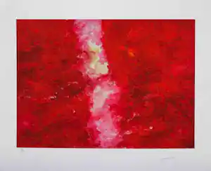Armando - Kleurengiclee DAMALS Handgesigneerd kaufen? Bieten Sie von 169!