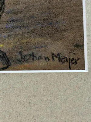 Johan Meijer - Trekpaard kopen? Bied vanaf 100!