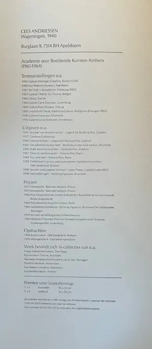 Cees Andriessen - Zonder titel - lino en zeeefdruk kopen? Bied vanaf 40!