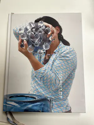 Sabine Lintzen - Glazen feest-karaf met speels gekleurd handvat + boek! kopen? Bied vanaf 60!