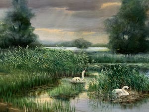 Rob Hessels - Broedend zwanenpaar in landschap. kopen? Bied vanaf 200!
