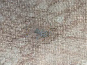 Arie Zwart - Bollenvelden kopen? Bied vanaf 3000!