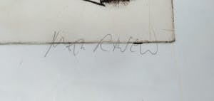 Mark Raven - Brug 1989 kopen? Bied vanaf 85!