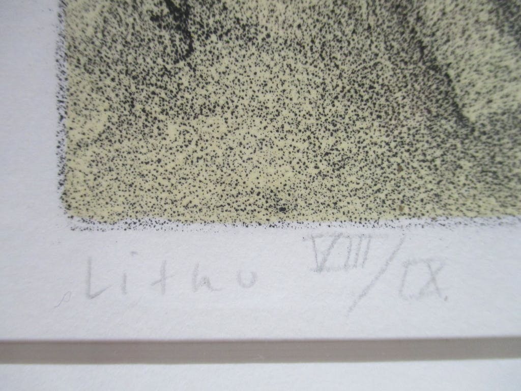 Lon Buttstedt -  litho 'Nine directions, palm leaf, road' in Barth lijst kopen? Bied vanaf 50!