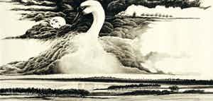 Ari Stolk - De zwaan verkocht voor € 75!