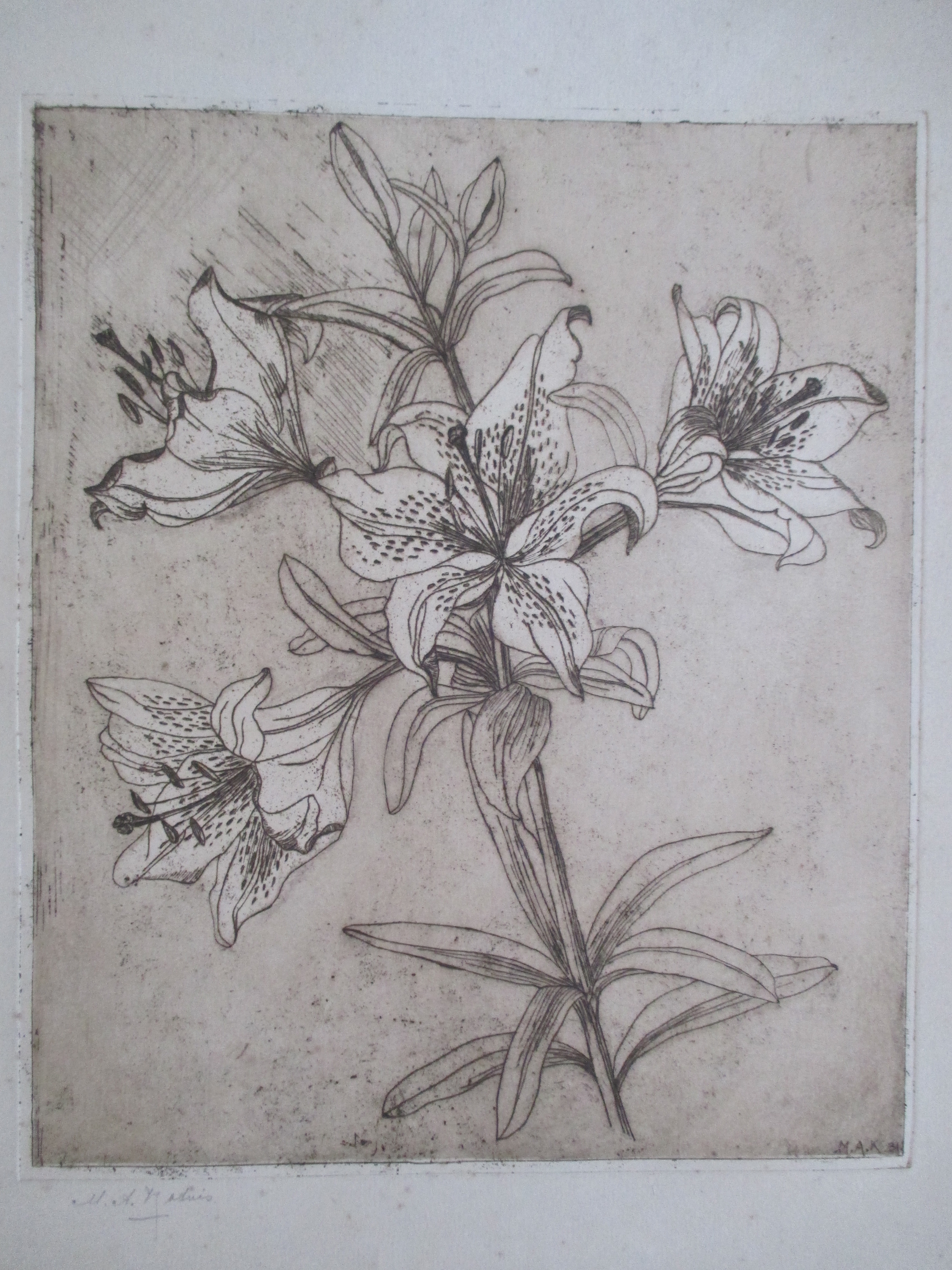 Niet of onleesbaar gesigneerd - Ets bloem kopen? Bied vanaf 1!