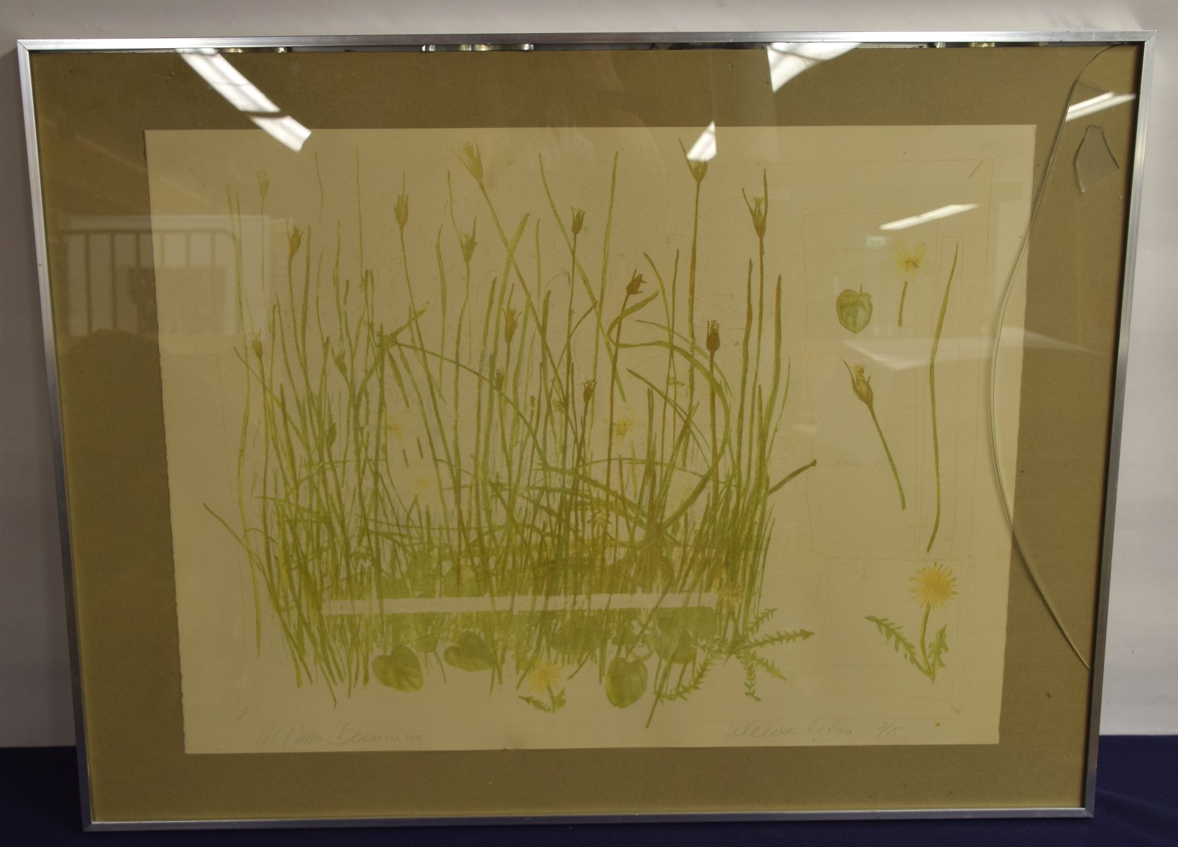Minno Banning - Parmania - Kleurenlitho op papier - gesigneerd - oplage 2 / 15 - BKR Groningen kopen? Bied vanaf 10!