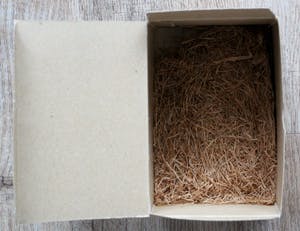 Jenny Holzer - De "Truisms Stamp Set" kopen? Bied vanaf 450!