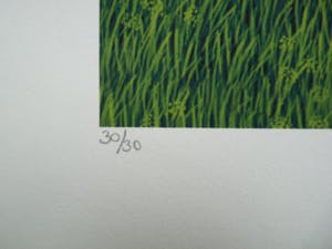 Aad Groenendijk - ZEEUWSE MUTSEN kopen? Bied vanaf 55!