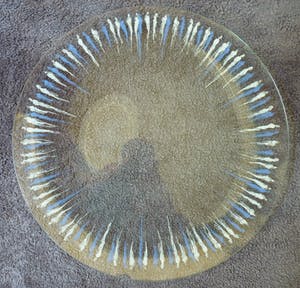 Corry Ammerlaan - Glazen schaal (mens)figuren kopen? Bied vanaf 10!