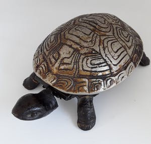 Curiosa - Hotelbel in vorm van schildpad kopen? Bied vanaf 50!