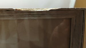 Aad de Haas - Vrouw, Man & vogel kopen? Bied vanaf 15!