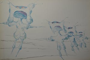 Jacques Boersma - Speciale uitgave Alain Teister en Remco Campert kopen? Bied vanaf 50!