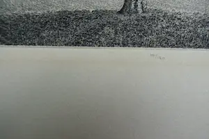 Philip Wiesman - WEG MET KASTANJES kopen? Bied vanaf 50!