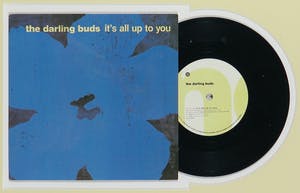 Andy Warhol - The Darling Buds – It's All Up To You - Ingelijst kopen? Bied vanaf 1!
