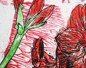 Erik Andriesse - Amaryllissen - Litho, oplage 150 kopen? Bied vanaf 595!