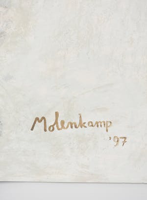 Nico Molenkamp - Vogel kopen? Bied vanaf 100!